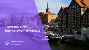 Tworzenie stron Internetowych Bydgoszcz – Poradnik dla firm