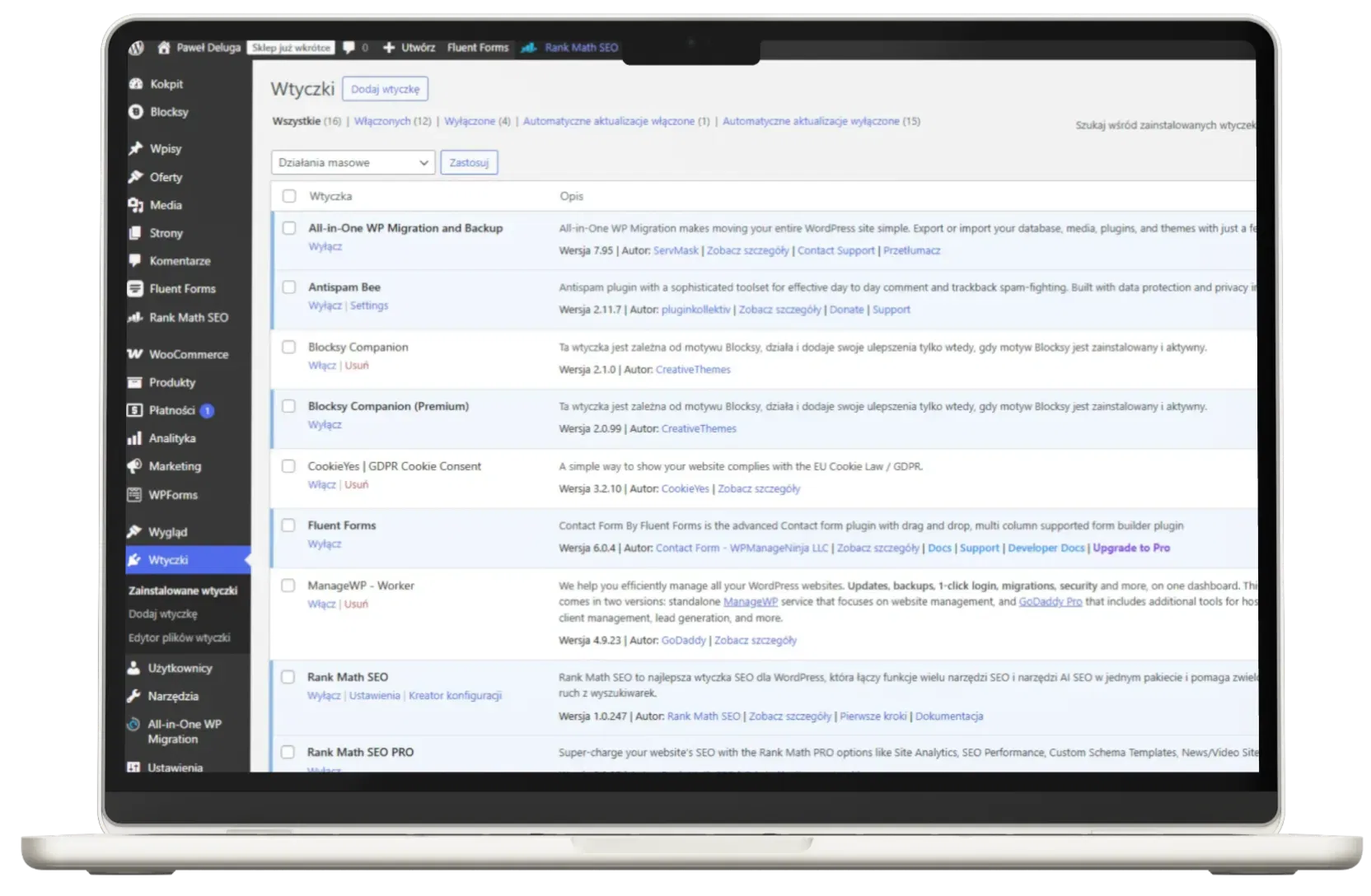 Strony internetowe WordPress