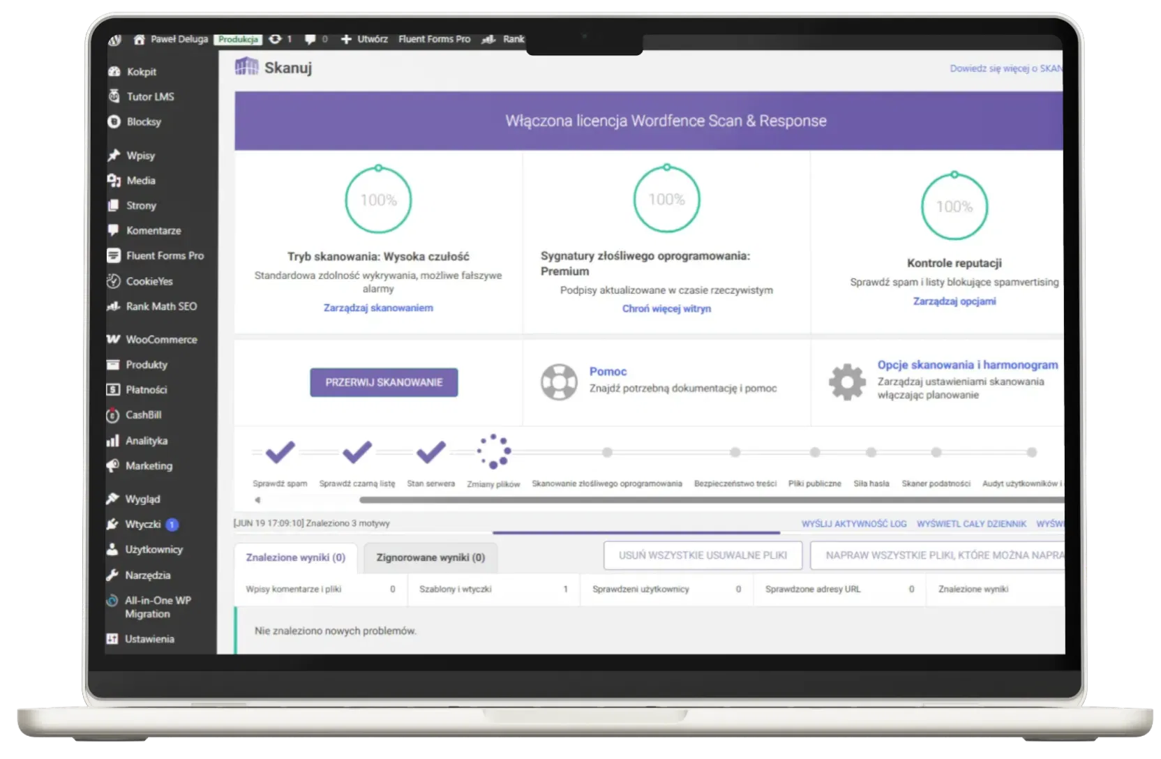 Strony internetowe WordPress
